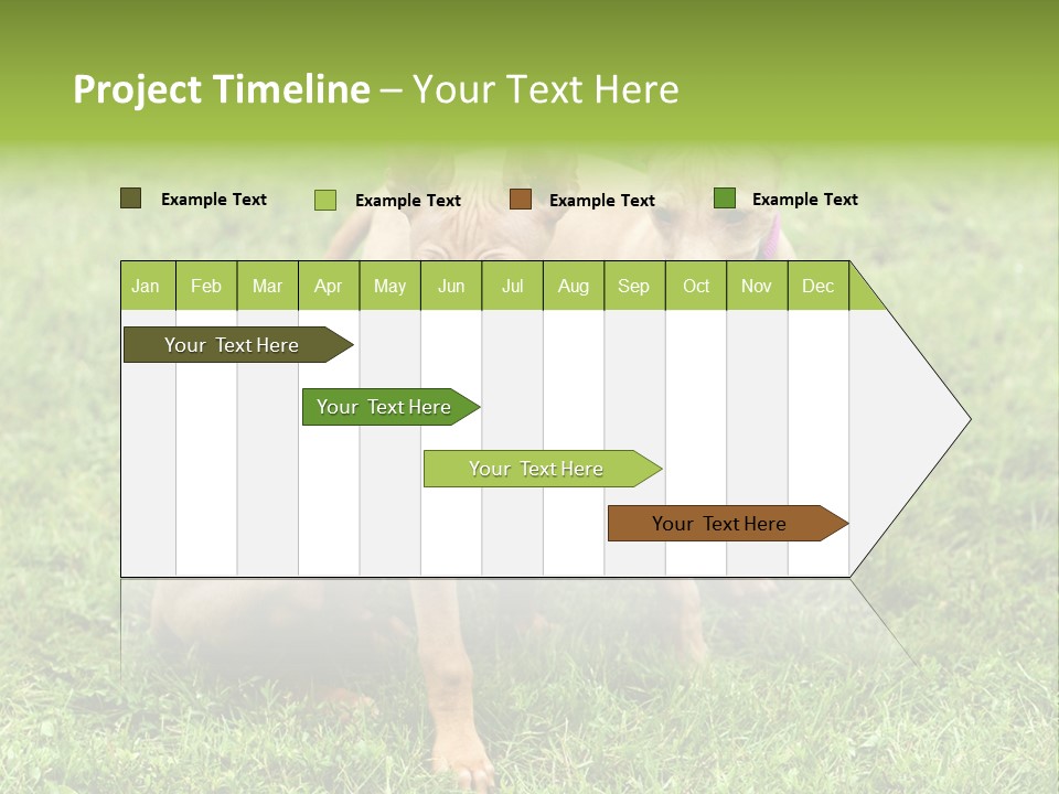 Girl Stands In Poppy Field PowerPoint Template