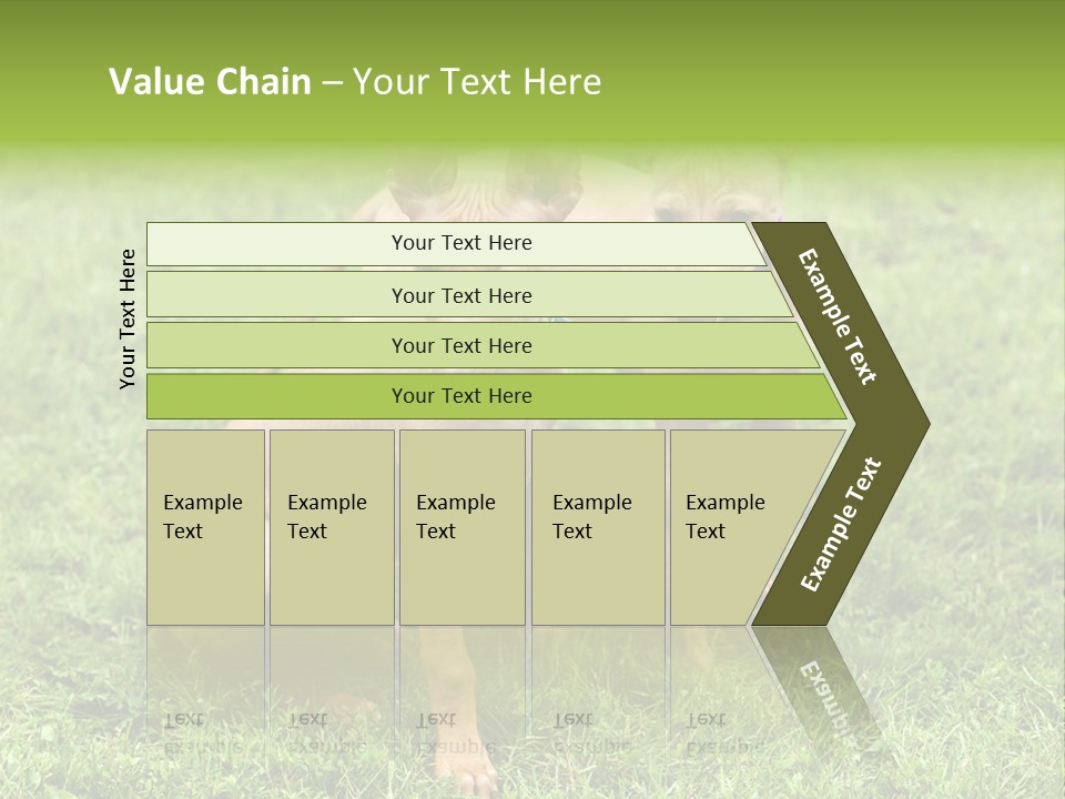 Girl Stands In Poppy Field PowerPoint Template