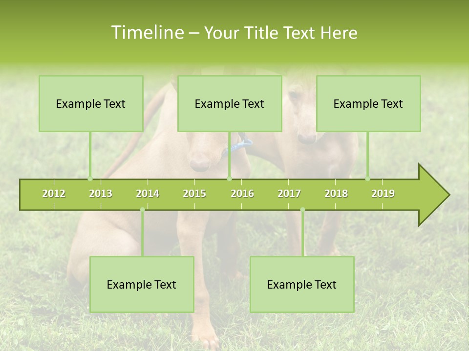 Girl Stands In Poppy Field PowerPoint Template