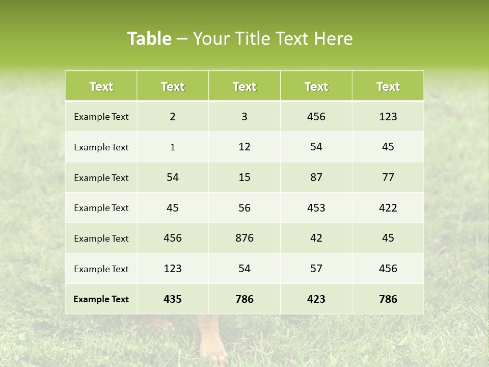 Girl Stands In Poppy Field PowerPoint Template