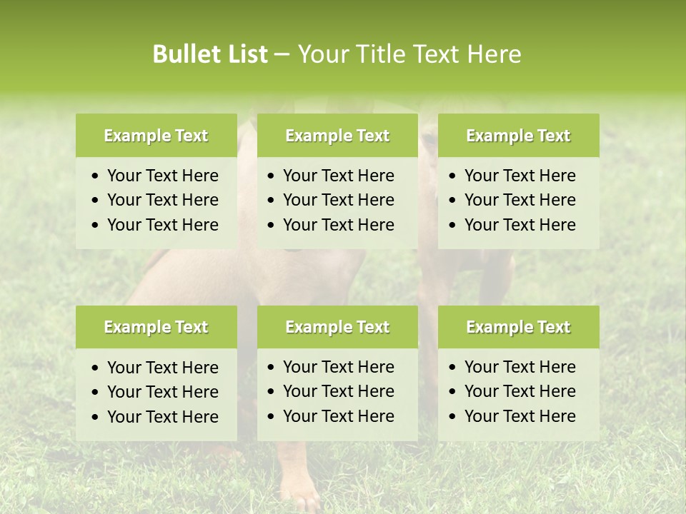 Girl Stands In Poppy Field PowerPoint Template