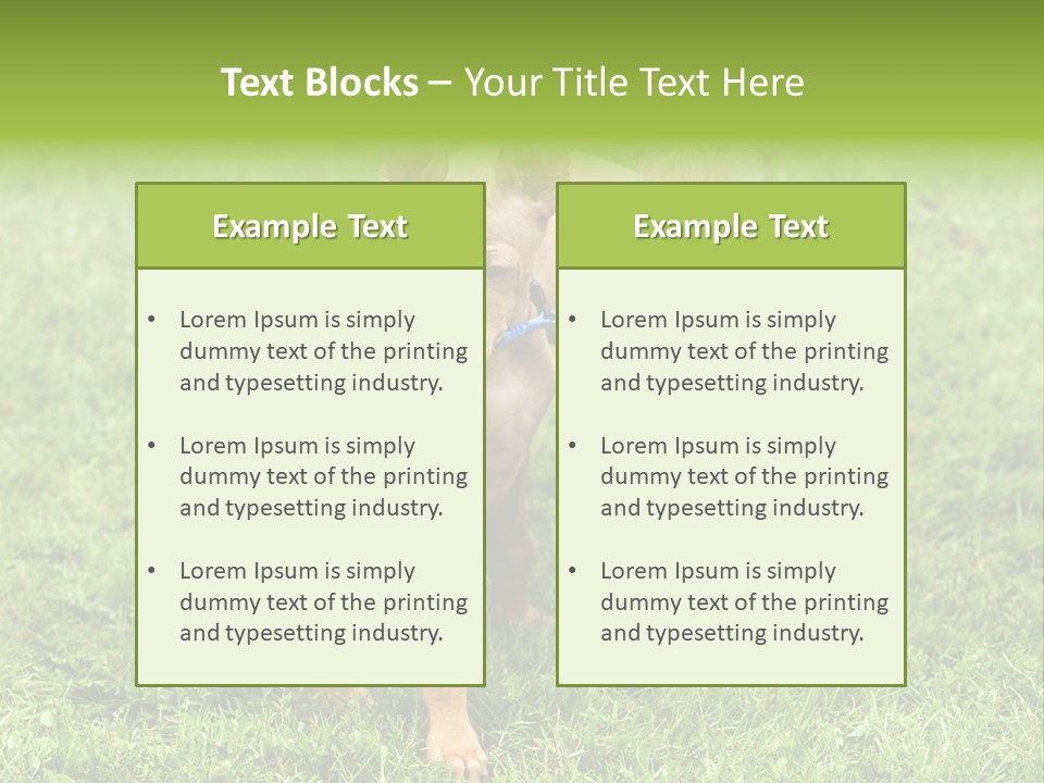 Girl Stands In Poppy Field PowerPoint Template