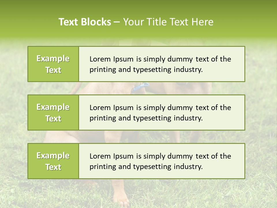 Girl Stands In Poppy Field PowerPoint Template