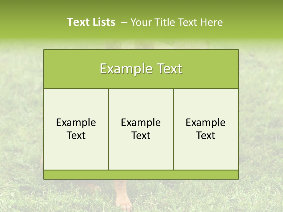 Girl Stands In Poppy Field PowerPoint Template