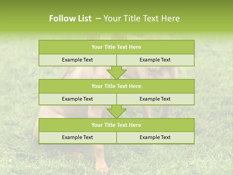Girl Stands In Poppy Field PowerPoint Template
