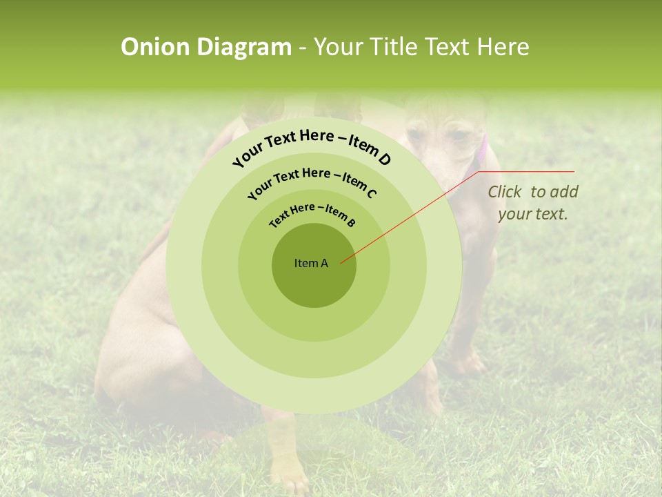 Girl Stands In Poppy Field PowerPoint Template