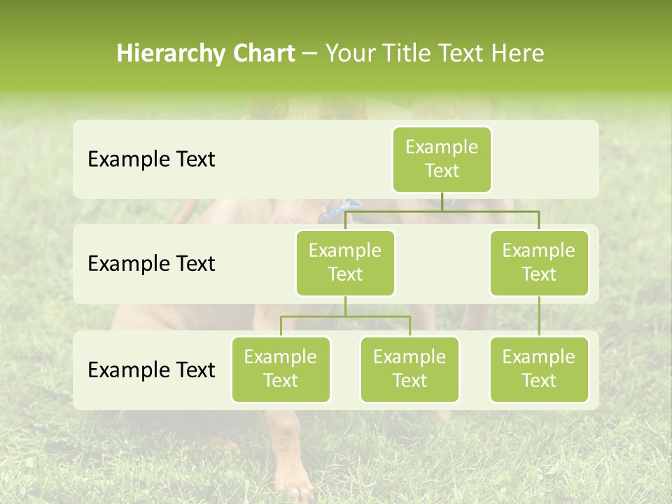Girl Stands In Poppy Field PowerPoint Template