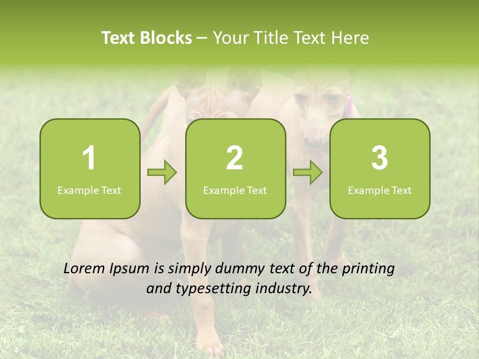 Girl Stands In Poppy Field PowerPoint Template