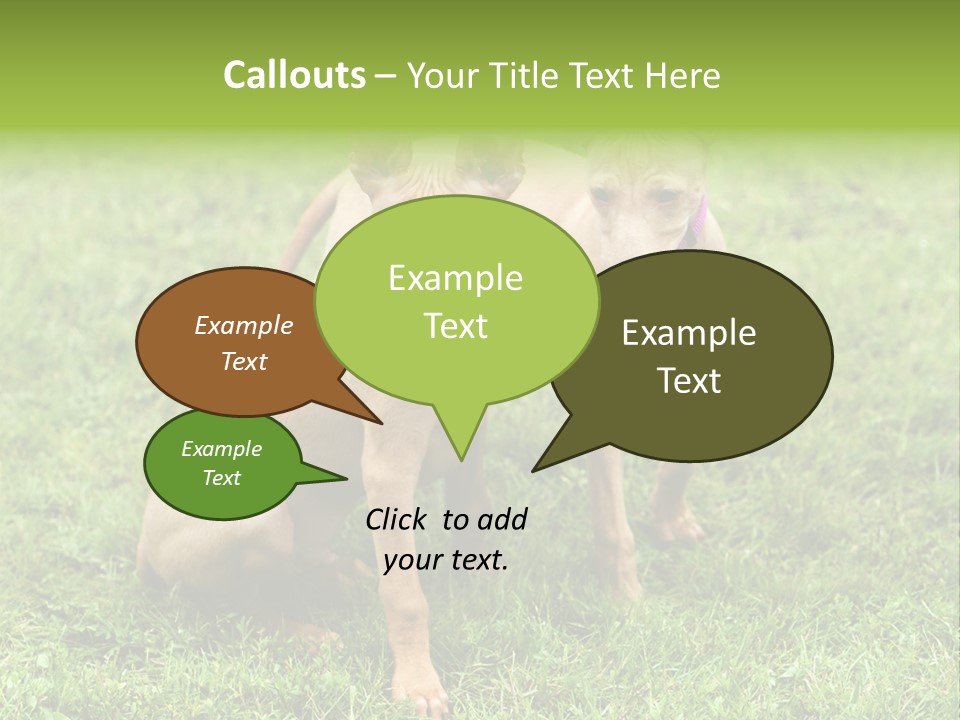 Girl Stands In Poppy Field PowerPoint Template