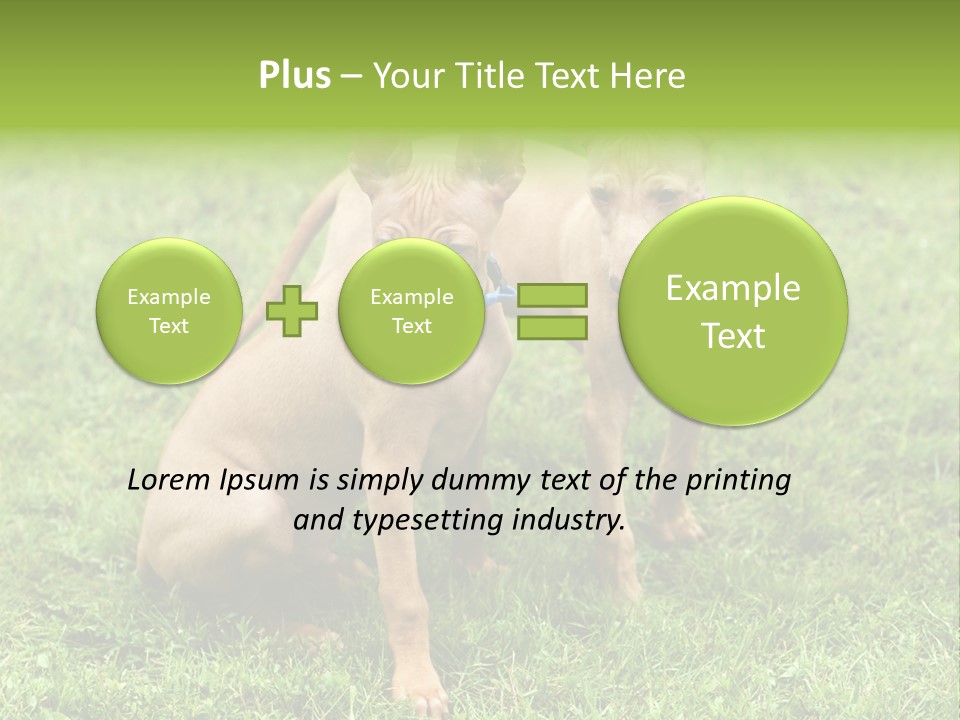 Girl Stands In Poppy Field PowerPoint Template