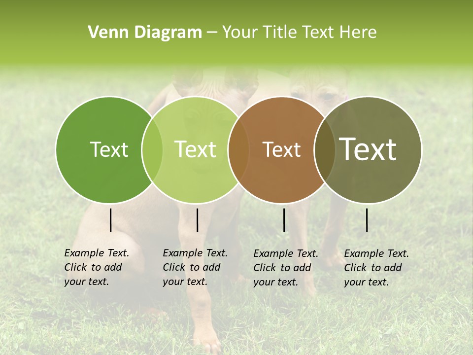 Girl Stands In Poppy Field PowerPoint Template