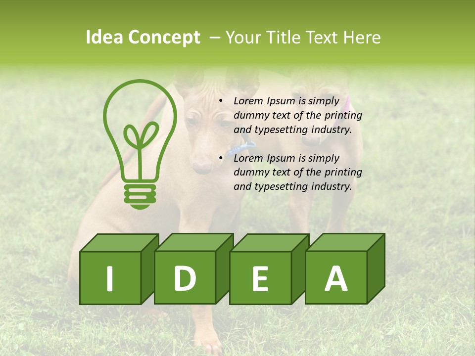 Girl Stands In Poppy Field PowerPoint Template