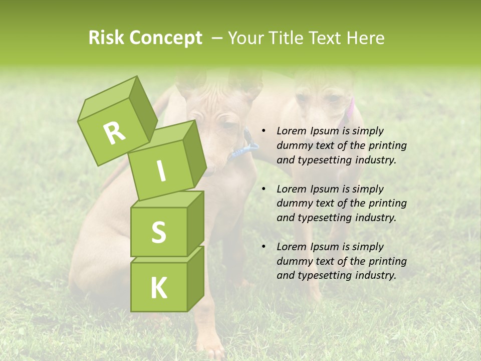 Girl Stands In Poppy Field PowerPoint Template