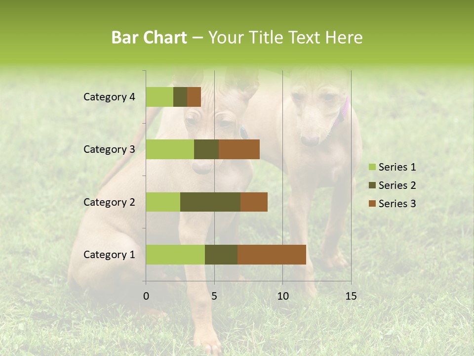 Girl Stands In Poppy Field PowerPoint Template