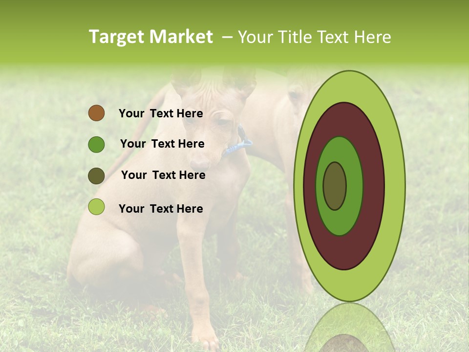 Girl Stands In Poppy Field PowerPoint Template