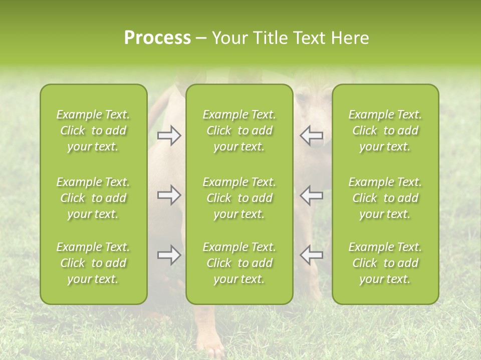 Girl Stands In Poppy Field PowerPoint Template