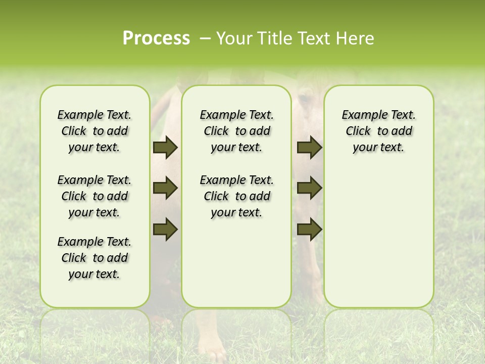 Girl Stands In Poppy Field PowerPoint Template