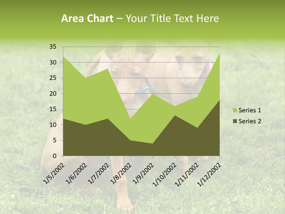 Girl Stands In Poppy Field PowerPoint Template