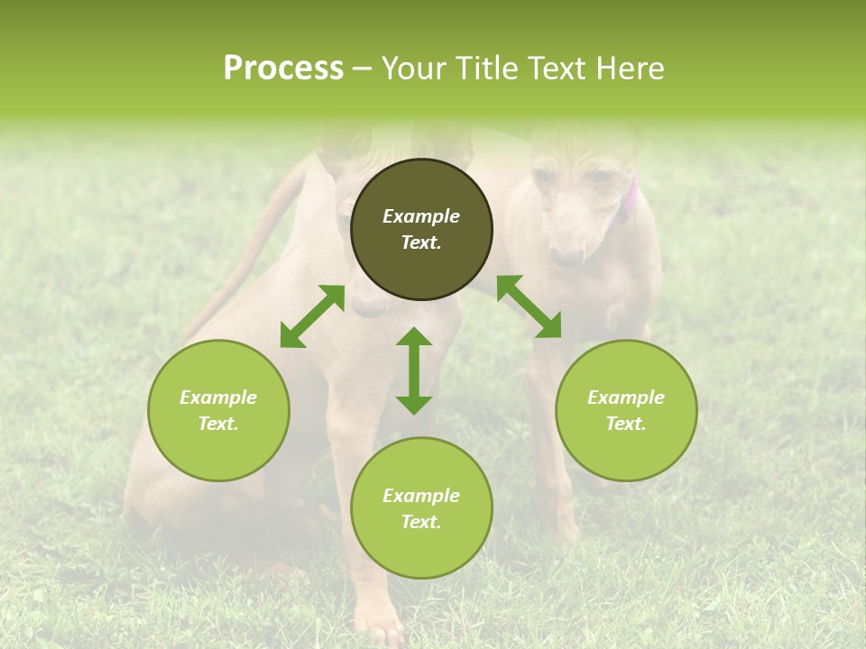 Girl Stands In Poppy Field PowerPoint Template