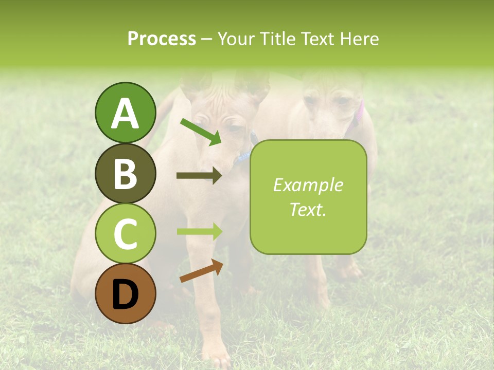 Girl Stands In Poppy Field PowerPoint Template