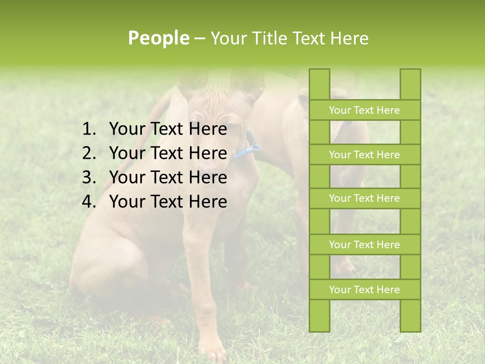 Girl Stands In Poppy Field PowerPoint Template