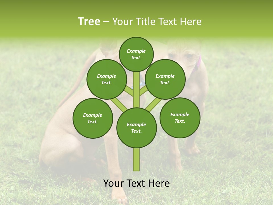 Girl Stands In Poppy Field PowerPoint Template