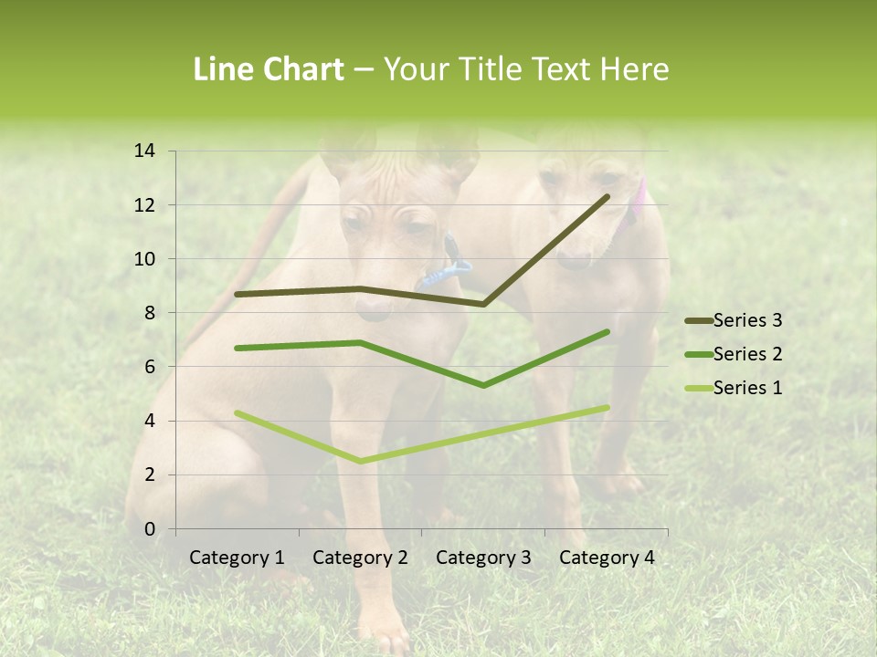 Girl Stands In Poppy Field PowerPoint Template