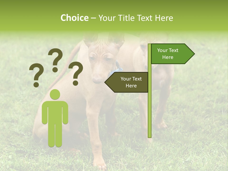 Girl Stands In Poppy Field PowerPoint Template