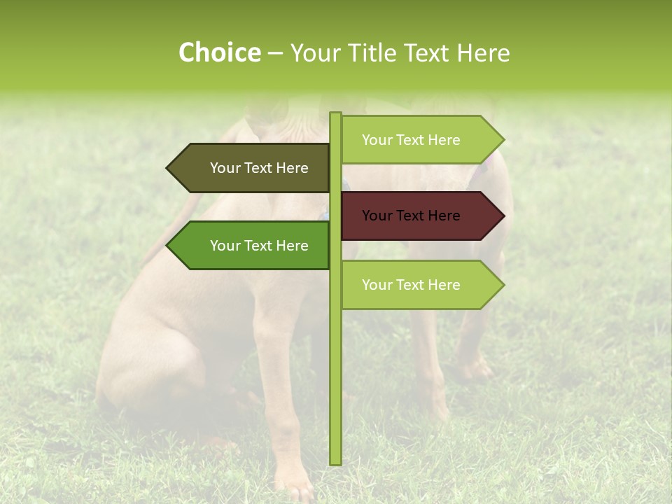 Girl Stands In Poppy Field PowerPoint Template