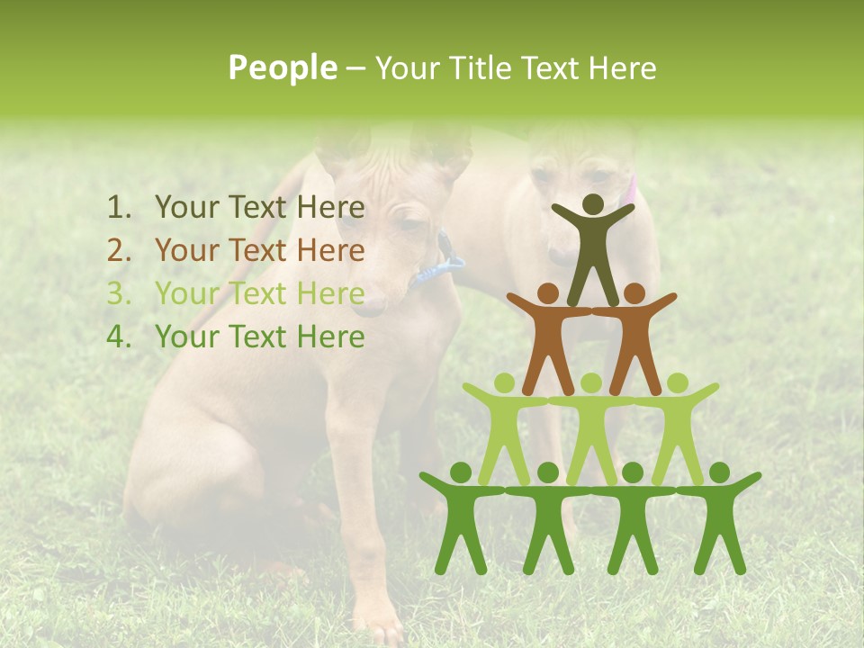 Girl Stands In Poppy Field PowerPoint Template