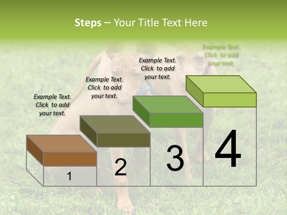 Girl Stands In Poppy Field PowerPoint Template