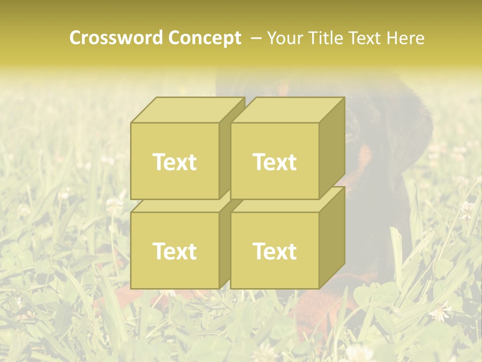 Portrait Of A Young Puppy Purebred Rottweiler In A Garden PowerPoint Template