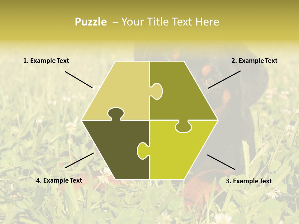 Portrait Of A Young Puppy Purebred Rottweiler In A Garden PowerPoint Template