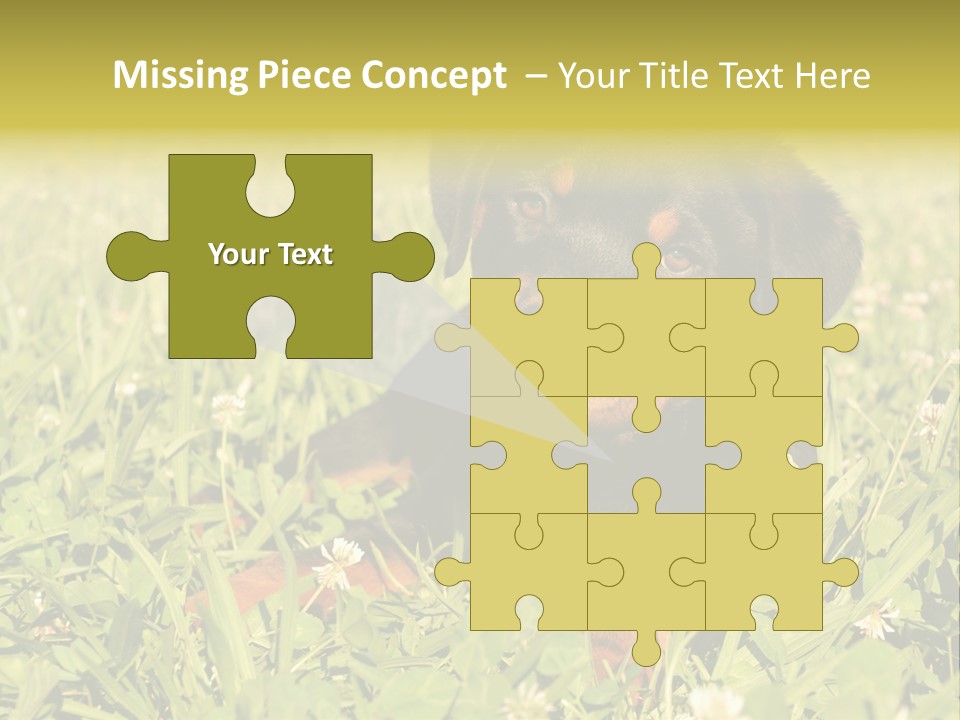 Portrait Of A Young Puppy Purebred Rottweiler In A Garden PowerPoint Template