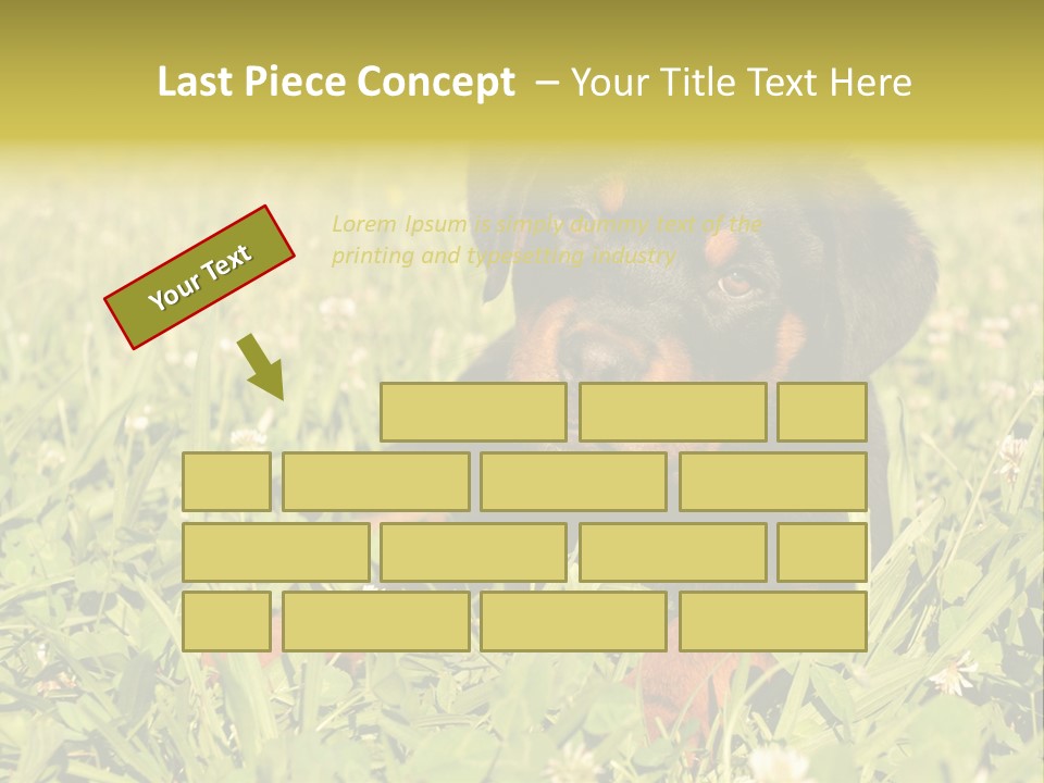 Portrait Of A Young Puppy Purebred Rottweiler In A Garden PowerPoint Template