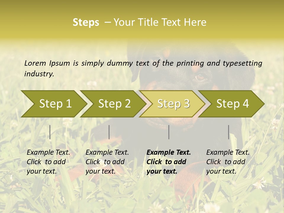 Portrait Of A Young Puppy Purebred Rottweiler In A Garden PowerPoint Template
