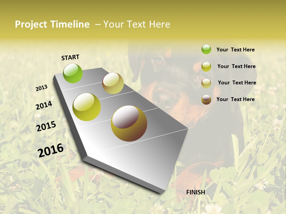 Portrait Of A Young Puppy Purebred Rottweiler In A Garden PowerPoint Template