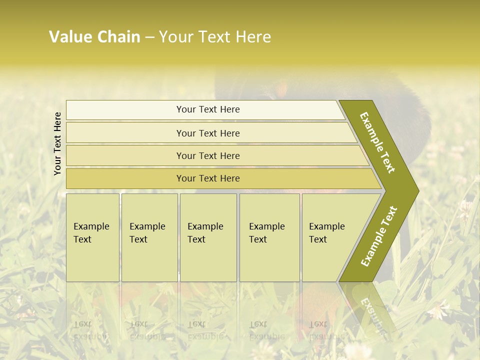 Portrait Of A Young Puppy Purebred Rottweiler In A Garden PowerPoint Template