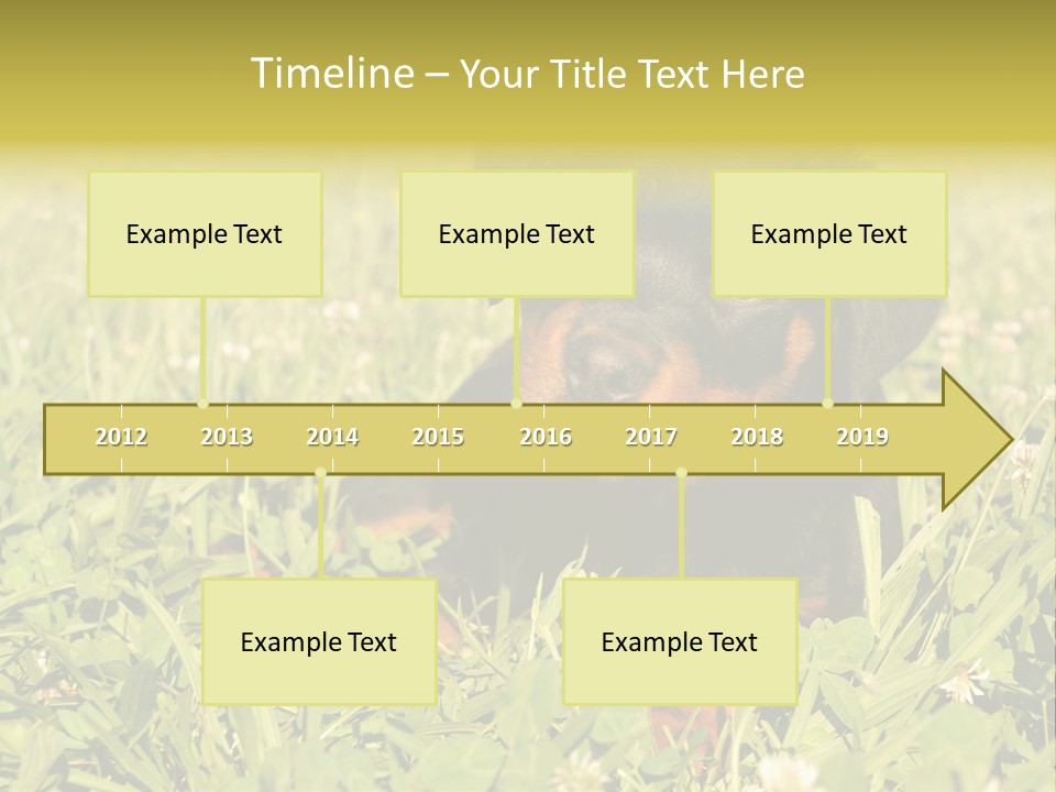 Portrait Of A Young Puppy Purebred Rottweiler In A Garden PowerPoint Template