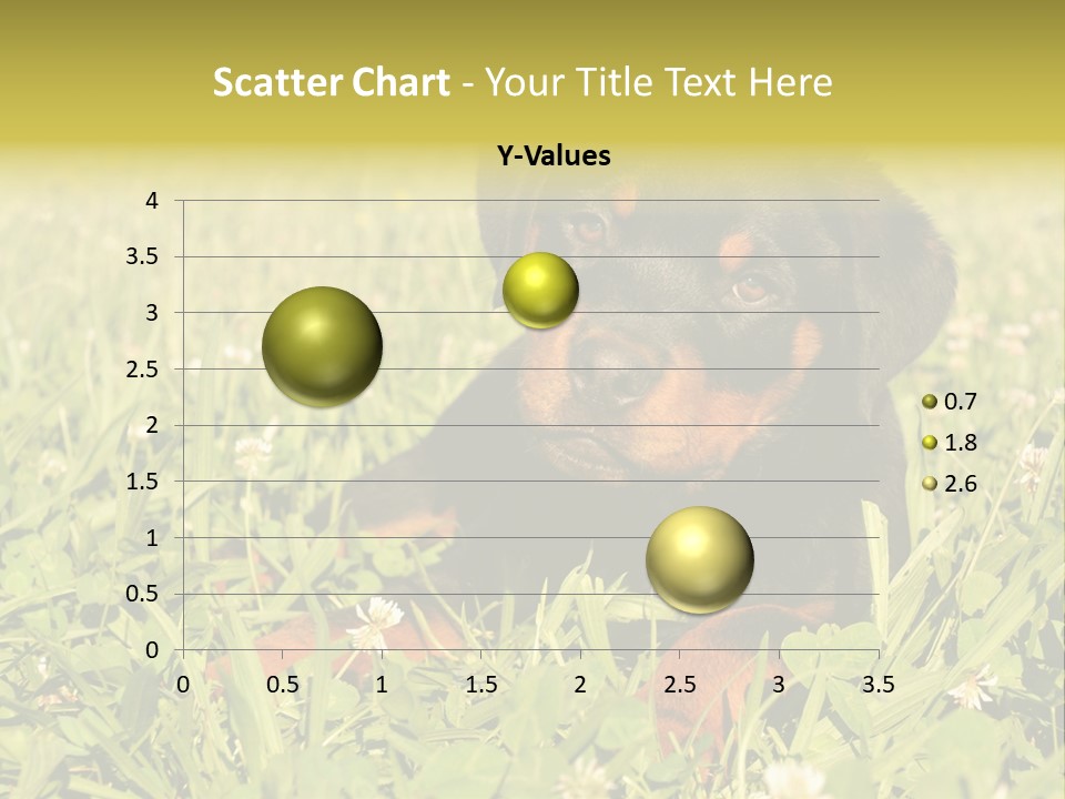 Portrait Of A Young Puppy Purebred Rottweiler In A Garden PowerPoint Template