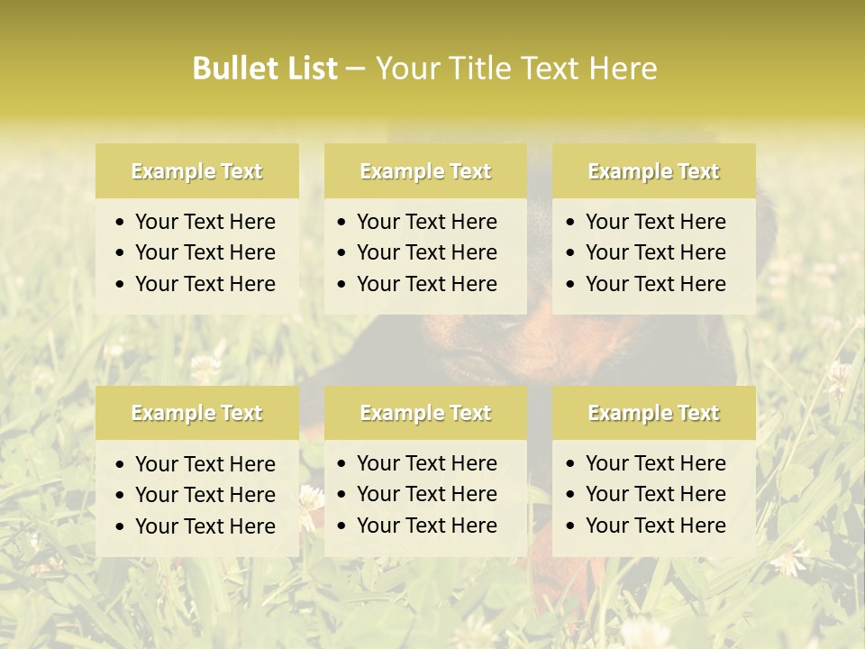 Portrait Of A Young Puppy Purebred Rottweiler In A Garden PowerPoint Template