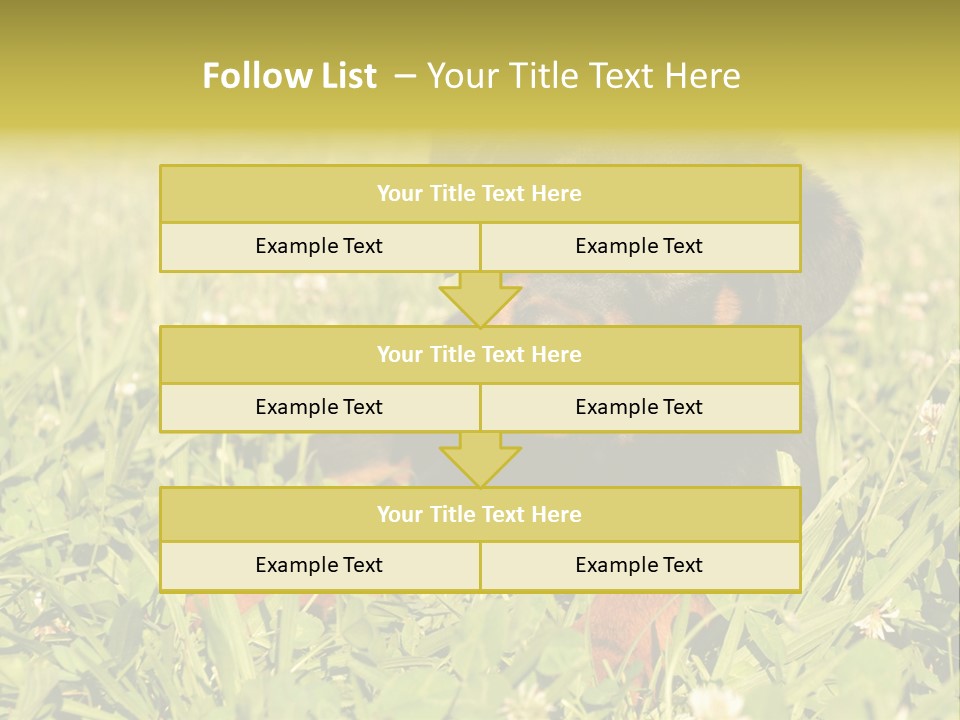 Portrait Of A Young Puppy Purebred Rottweiler In A Garden PowerPoint Template