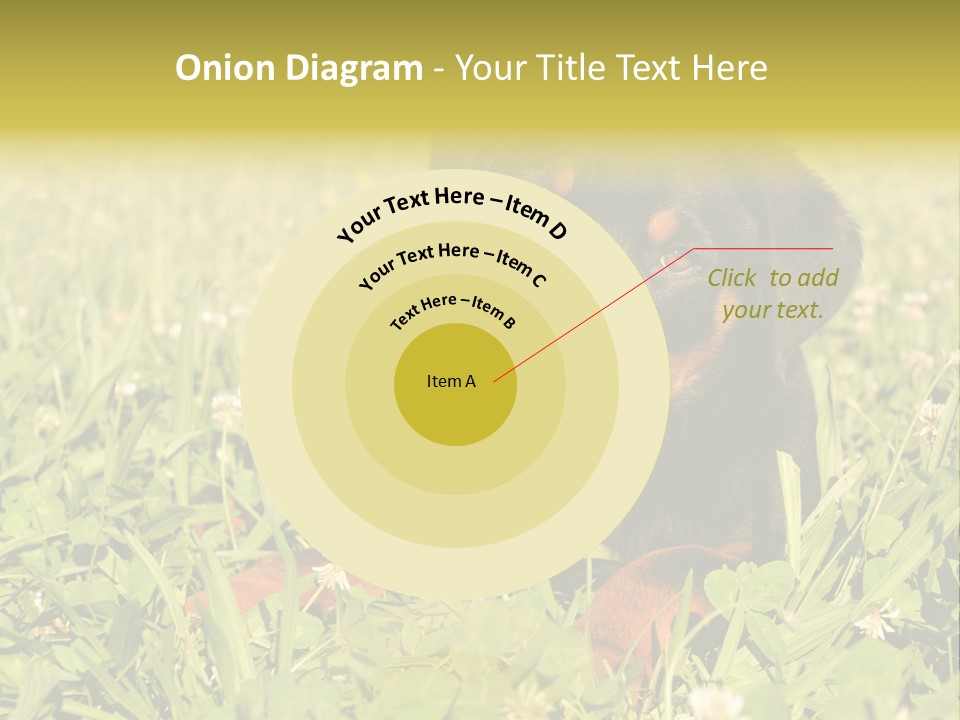 Portrait Of A Young Puppy Purebred Rottweiler In A Garden PowerPoint Template