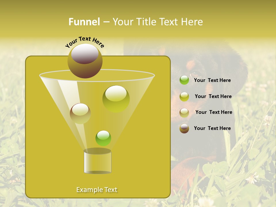 Portrait Of A Young Puppy Purebred Rottweiler In A Garden PowerPoint Template