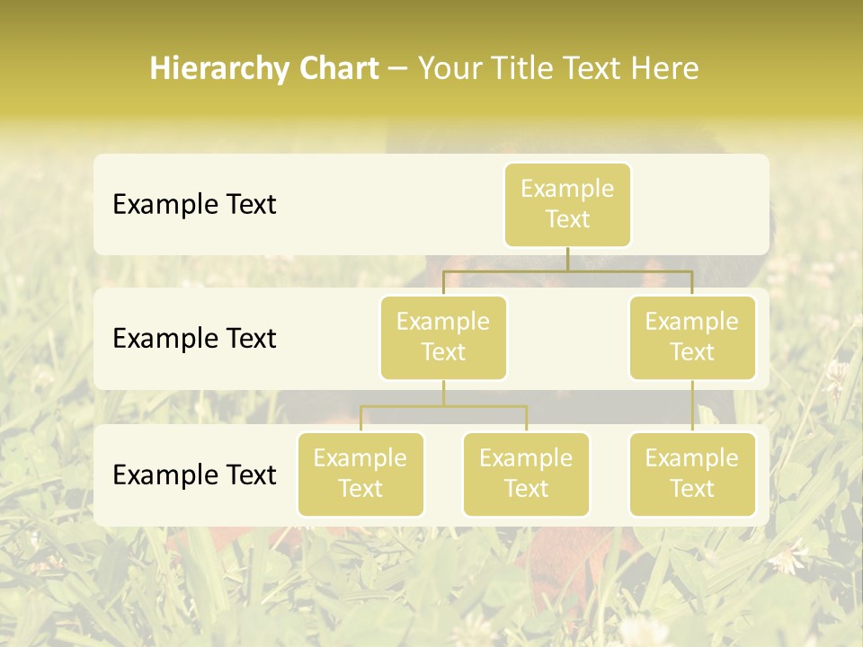 Portrait Of A Young Puppy Purebred Rottweiler In A Garden PowerPoint Template