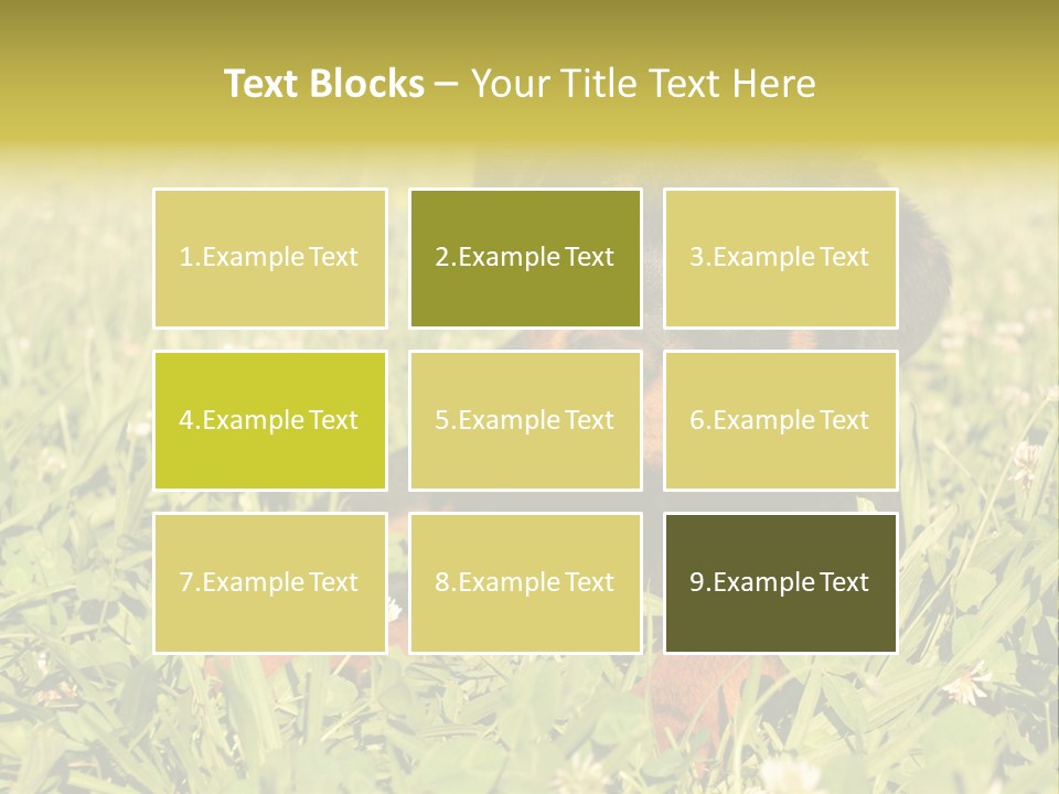 Portrait Of A Young Puppy Purebred Rottweiler In A Garden PowerPoint Template