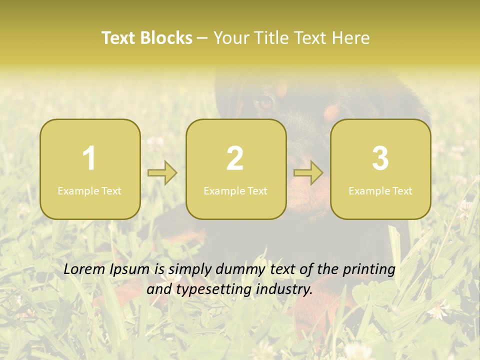 Portrait Of A Young Puppy Purebred Rottweiler In A Garden PowerPoint Template