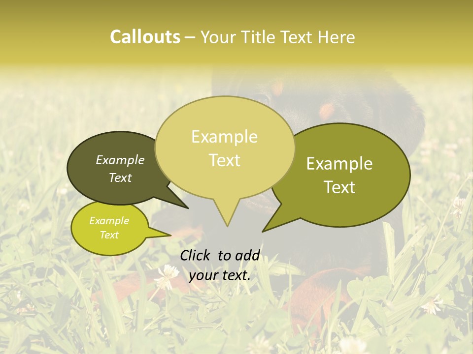 Portrait Of A Young Puppy Purebred Rottweiler In A Garden PowerPoint Template