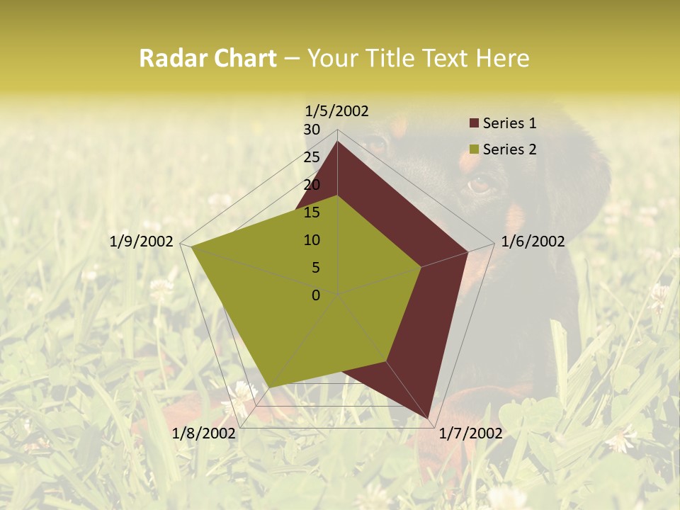 Portrait Of A Young Puppy Purebred Rottweiler In A Garden PowerPoint Template