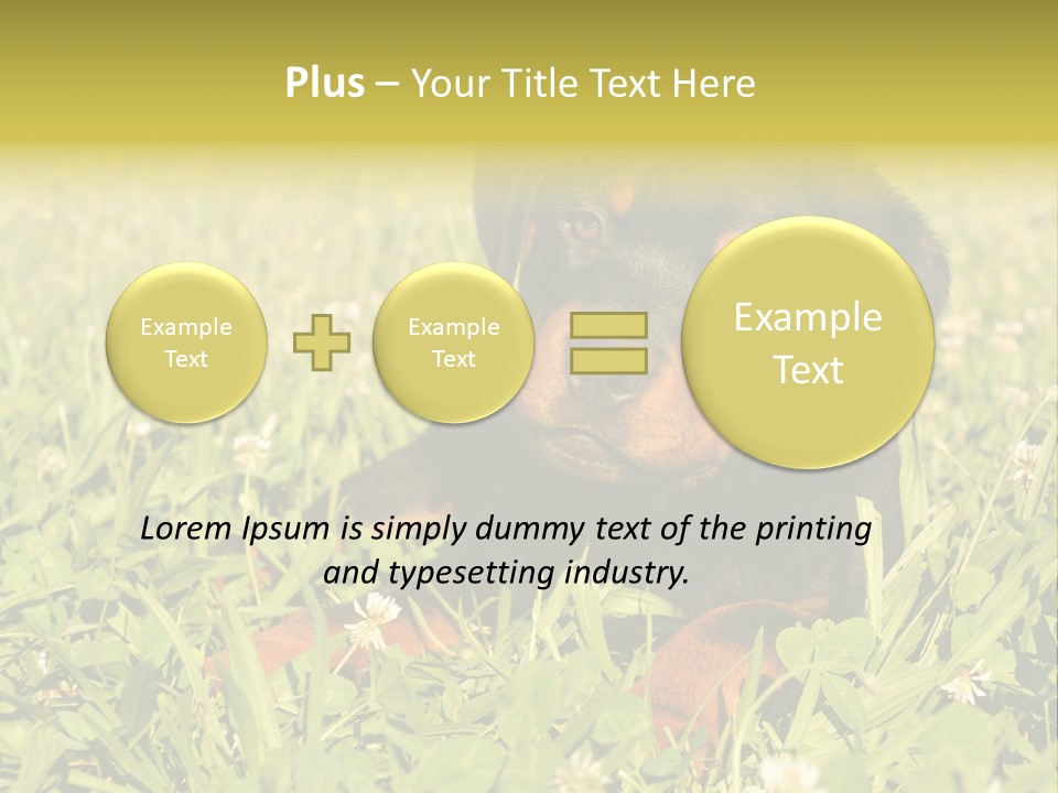 Portrait Of A Young Puppy Purebred Rottweiler In A Garden PowerPoint Template